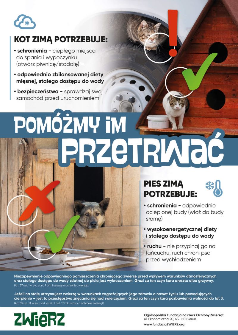 plakat jak pomagać zwierzętom